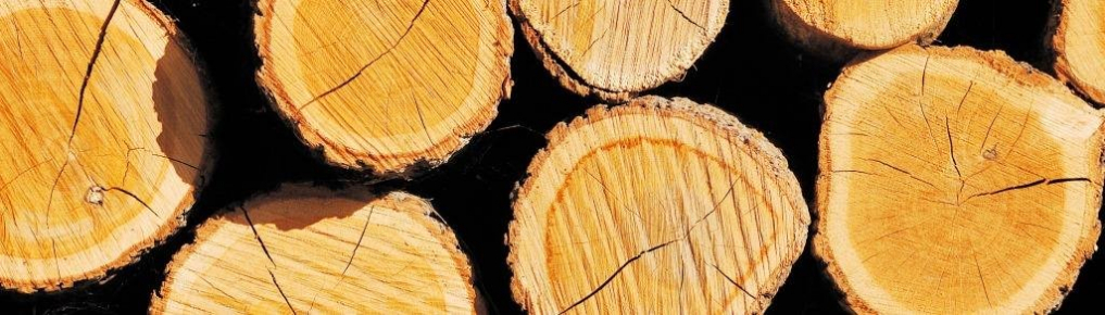 gallery/wood